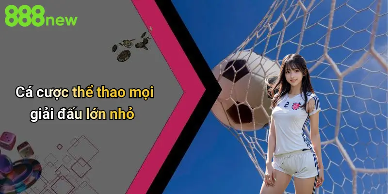 Cá cược thể thao mọi giải đấu lớn nhỏ