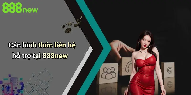 Các hình thức liên hệ hỗ trợ tại 888new